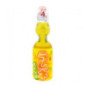 Hata boisson ananas 20cl