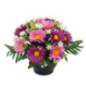 Vasque de fleurs composees - h25