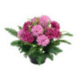 Vasque de fleurs composees - h25