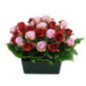 Vasque de fleurs composees h34-4