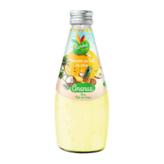 Lait de coco 290ml ananas