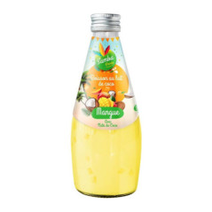 Lait de coco 290ml mangue