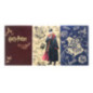 Notebooks a6 harry potter