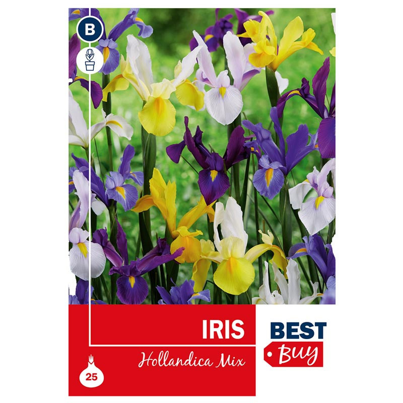 Bu iris hollandica mix x25