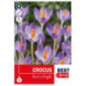 Bu crocus barr's purple x15