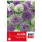 Bu allium sensation mix x5