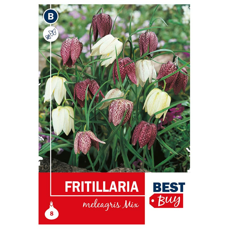 Bu fritillaria meleagris mix x8