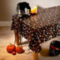 Nappe imprimee 132x178cm monstre