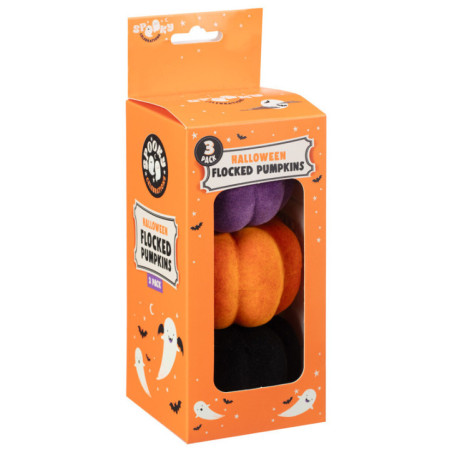 Lot de 3 citrouilles multicolor