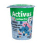 Porridge avoine myrtille