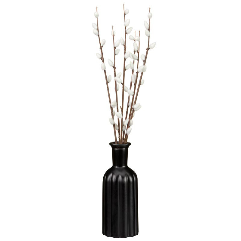 Chatons dans vase noir