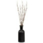 Chatons dans vase noir