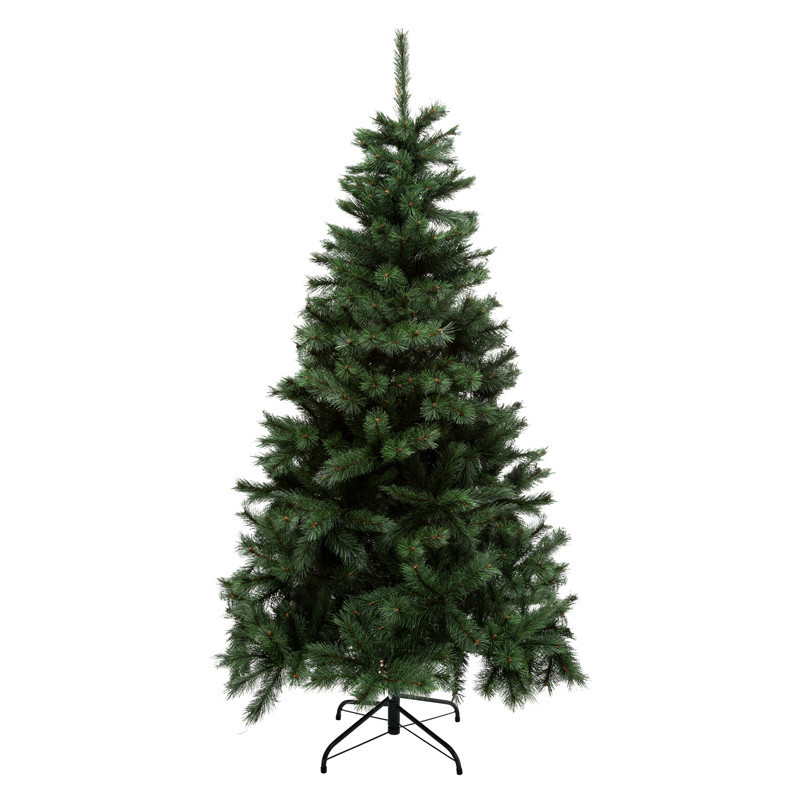 Sapin vert windy peak 210cm