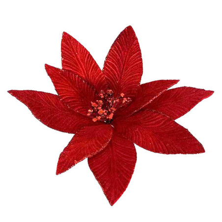 Poinsettia rouge