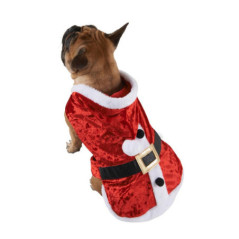 Vetement de noel pour chien l