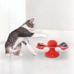 Jouet chattournoyant