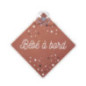 Signaletique bebe a bord