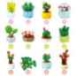 Mini succulente a construire