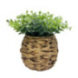 Eucalyptus pot tresse h21cm