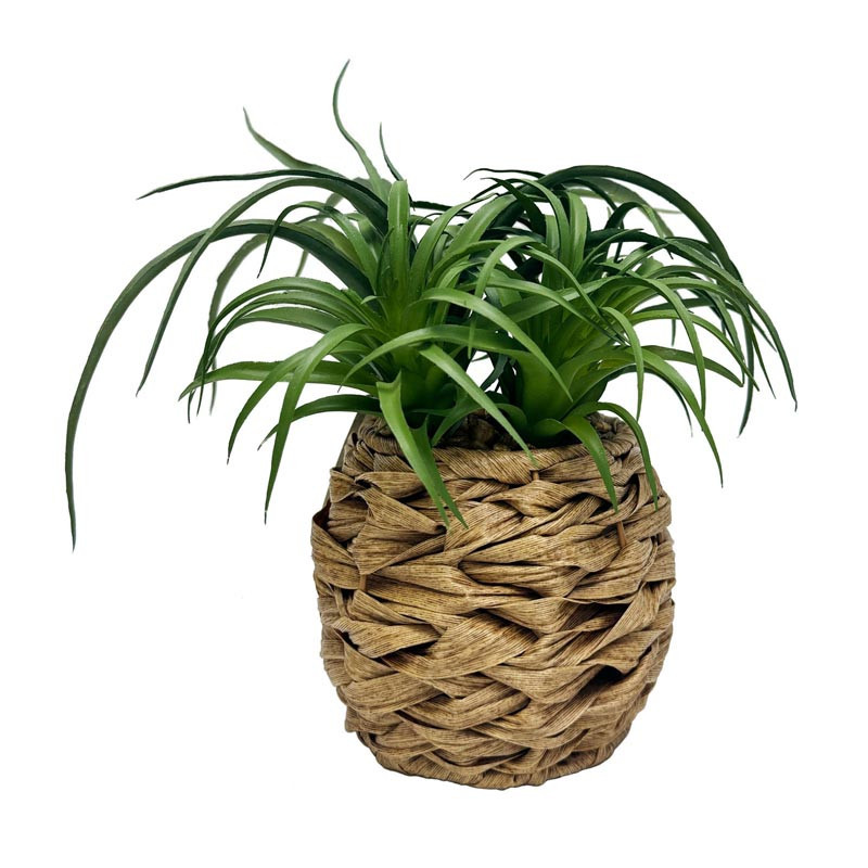 Herbe pot tresse h19cm