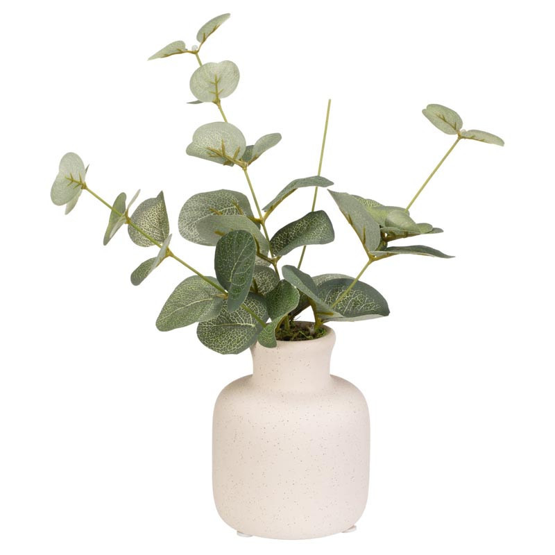 Eucalyptus dans vase