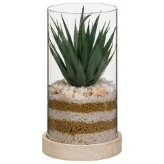 Succulente pot verre & bois