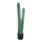 Cactus  h104cm