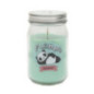 Bougie mason jar kawaii