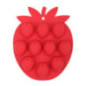 Bac a glacon fruits