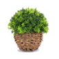 Plante pot rotin