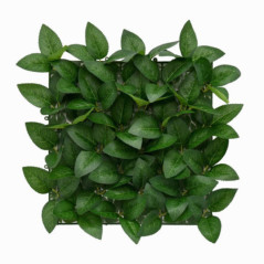 Panneau vegetal 35 x 35cm