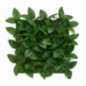 Panneau vegetal 35 x 35cm