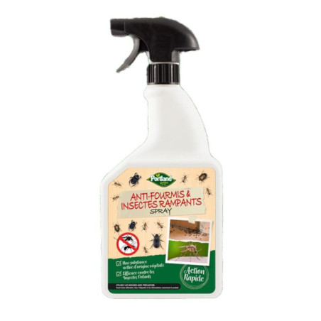 Spray anti fourmis et insectes r