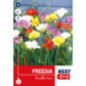 Bu fressia double mix