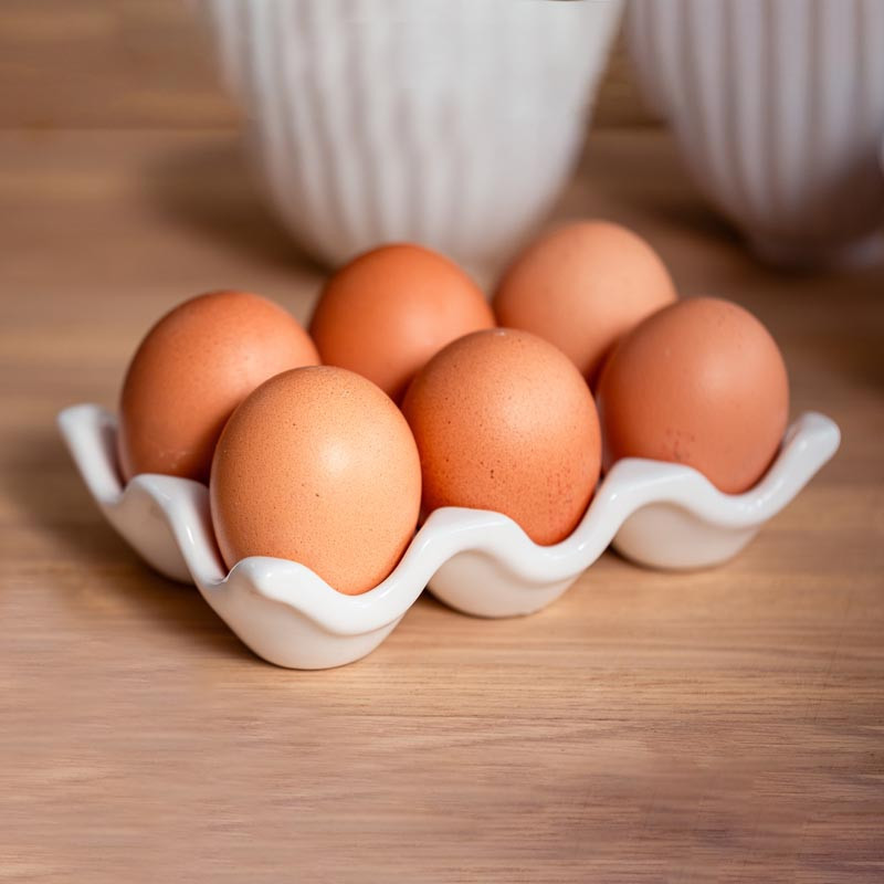 Support pour oeufs 14x9.3x3cm