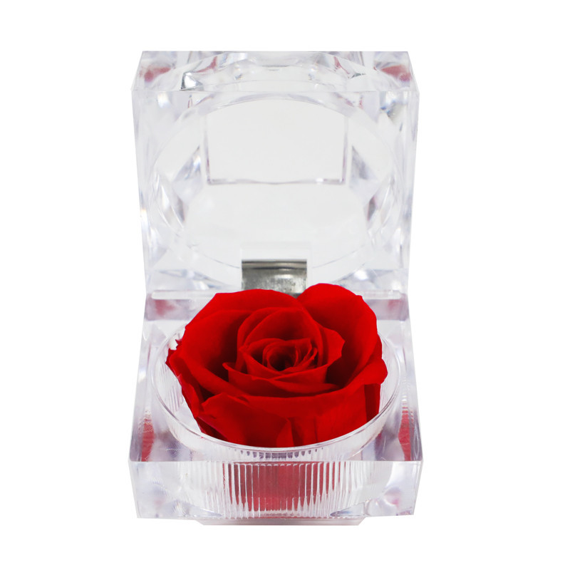 Rose eternelle dans son ecrin