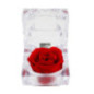 Rose eternelle dans son ecrin