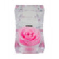 Rose eternelle dans son ecrin