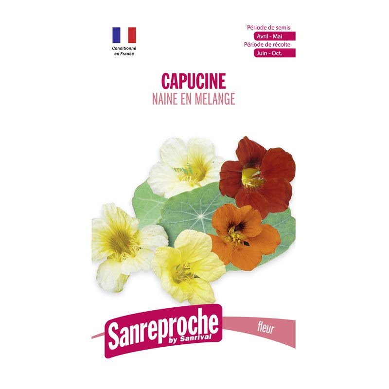 Mix capucine naine