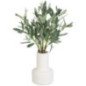 Bouquet olivier dans vase