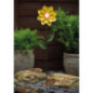 Piquet solaire fleurs metal h49