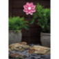 Piquet solaire fleurs metal h49