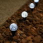 Lot x20 piquets solaires bulles
