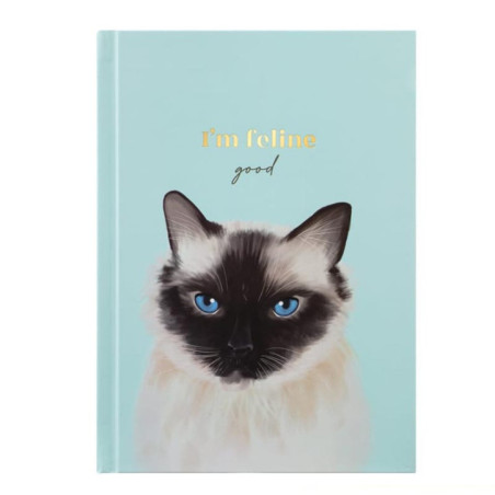 Set notebook et stylo