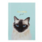 Set notebook et stylo
