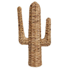 Cactus deco gm