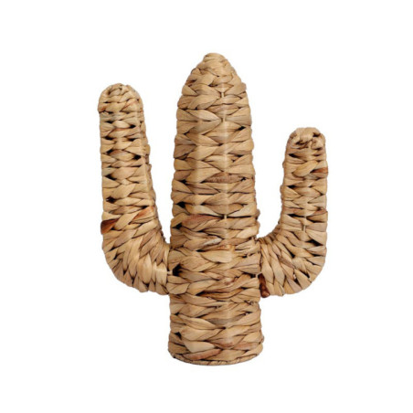Cactus deco pm