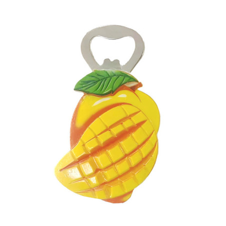 Magnets decapsuleur fruits