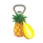 Magnets decapsuleur fruits