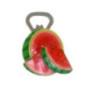 Magnets decapsuleur fruits